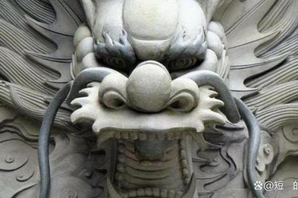 2036年是龙命年,揭开龙王的神秘面纱! 2036年是龙命年,揭开龙王的神秘面纱!