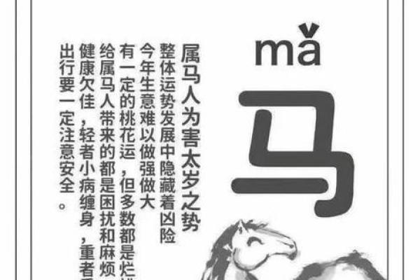 2023年66岁属什么命？解析属猪人的命运与人生智慧