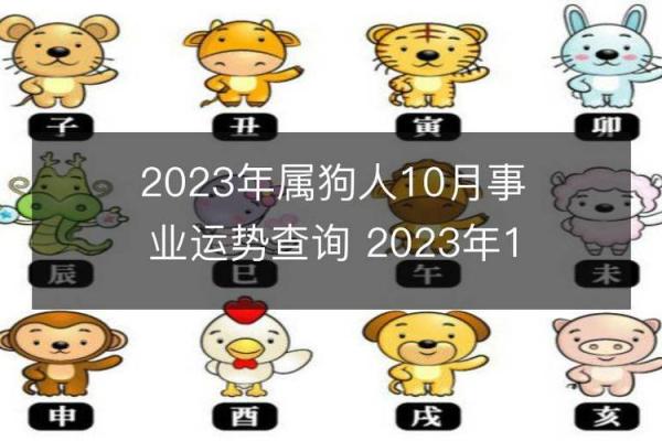 探索农历正月的狗命运：2023年狗年论命理与生活智慧