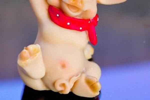 2023年66岁属什么命？解析属猪人的命运与人生智慧