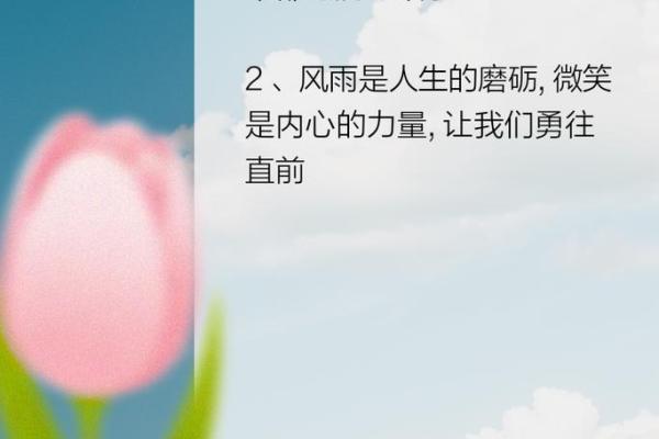 内向者的命运:在静默中绽放的力量与智慧 内向者的命运:在静默中绽放的力量与智慧