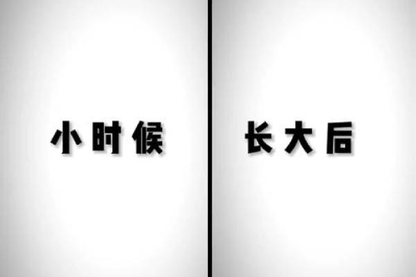 丁巳年生人的命理解析：五行属性与人生轨迹的深刻影响