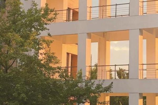 探寻一九九四年：命理与人生的交响曲