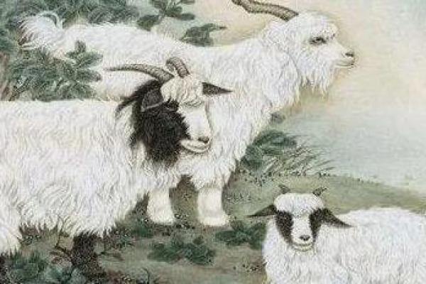 1991年出生的属羊人：温柔与坚韧并存的命格之旅