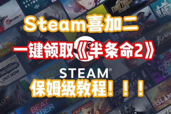 《生命中的那半条命：失去与重生的故事》