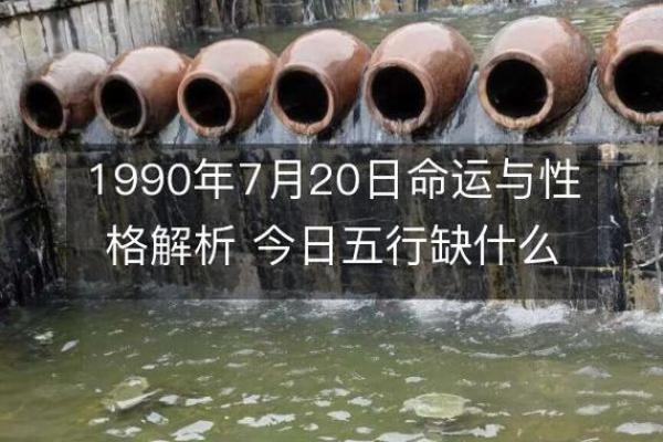 1990年出生女性命运解析：探索自身的优势与挑战