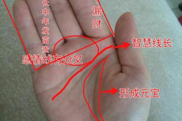 揭秘手相中的“有口”吉凶：掌握命运的秘密