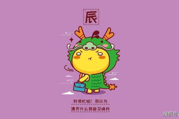 揭秘：什么星座是属龙命的最佳搭配，运势如何提升！