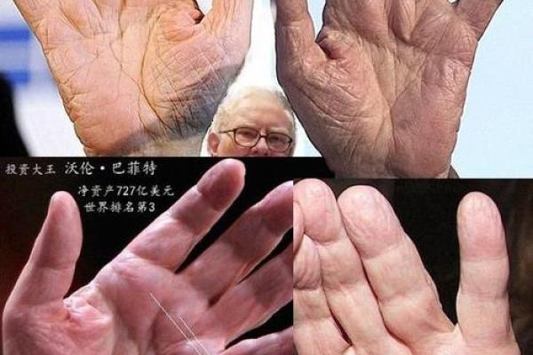 探寻富贵命与穷人命的奥秘,揭示人生百态的真实意义 探寻富贵命与穷人命的奥秘,揭示人生百态的真实意义