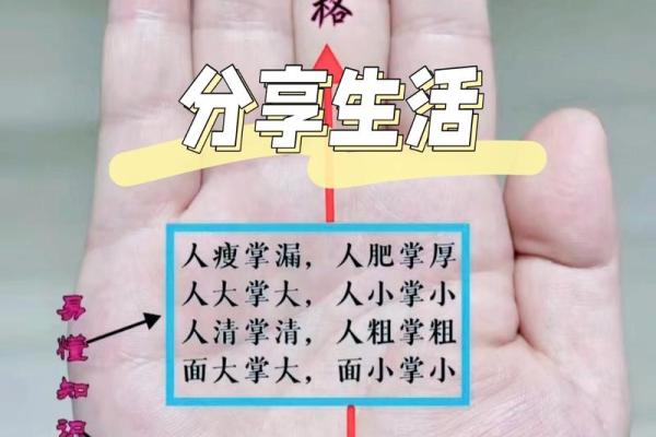 看手相揭秘：洞察你的命运与未来的奥秘