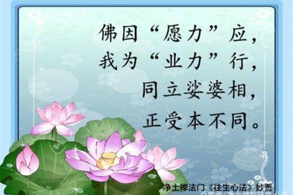 探寻延年益寿的法术：如何通过咒语与心灵之力延长生命？