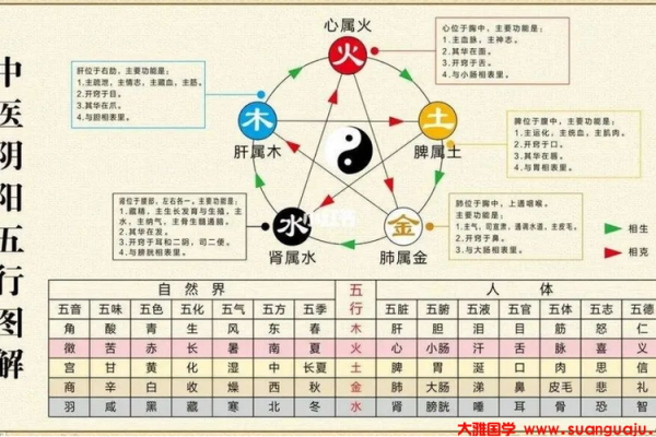 2012年属什么命卦：探讨八字与命运的关系