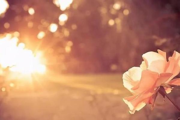 癸亥年出生的命理解析:掌握人生的钥匙与方向 癸亥年出生的命理解析:掌握人生的钥匙与方向