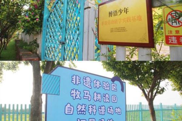 探寻女人18岁命运的奥秘：人生新篇章的开端