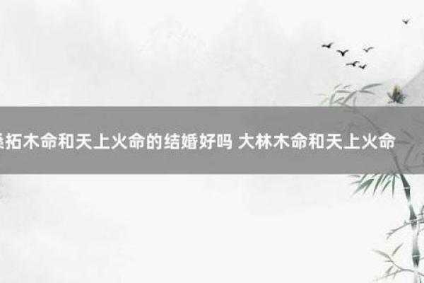 探秘天上火命：如何选择适合的颜色让生活更精彩！