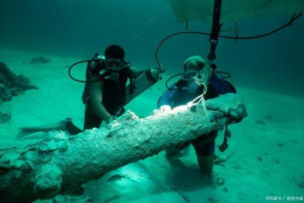 湖里有几条命：探秘水下生物的奇妙世界
