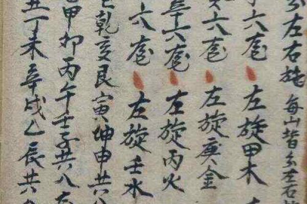 甲木命适合的配饰选择，提升个人魅力与气场！