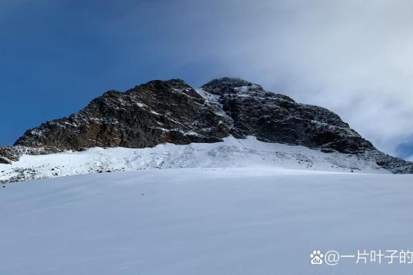 手上没有斗的命，揭示了人生的另一种可能性