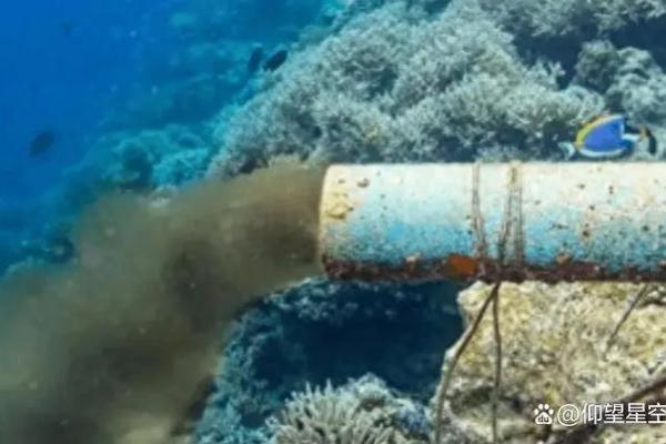 湖里有几条命:探秘水下生物的奇妙世界 湖里有几条命:探秘水下生物的奇妙世界