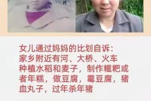 1963年出生的猪:命运与性格的深刻剖析 1963年出生的猪:命运与性格的深刻剖析