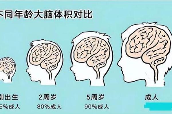 探索11月出生者的命运与个性魅力