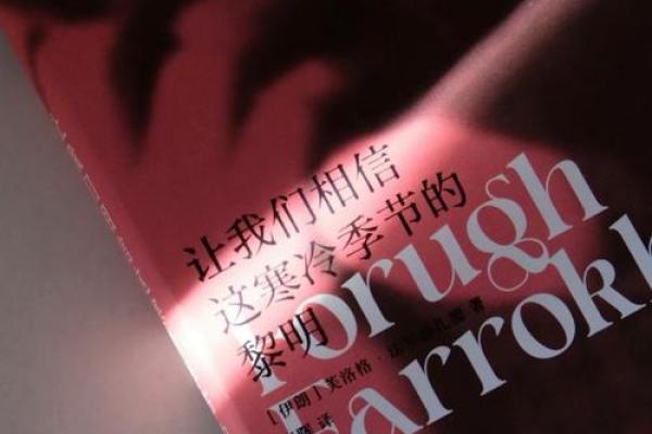 被丢弃的孩子：在绝望中寻找希望的故事