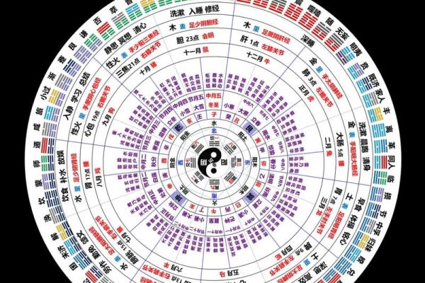 探索命理学中的南北区分：天干地支与五行的微妙关系
