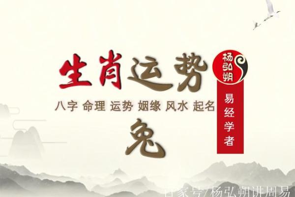 1987年出生的人属兔,浅析兔年人的性格与命运 1987年出生的人属兔,浅析兔年人的性格与命运