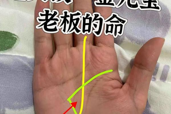 掌纹解析:手上繁复纹路暗藏的命运秘密 掌纹解析:手上繁复纹路暗藏的命运秘密