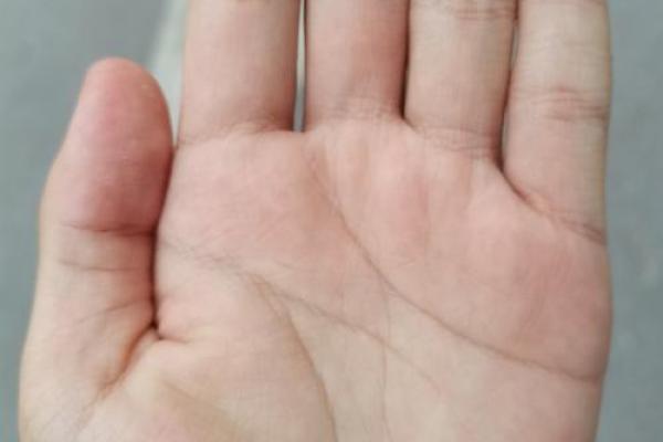 掌纹解析:手上繁复纹路暗藏的命运秘密 掌纹解析:手上繁复纹路暗藏的命运秘密