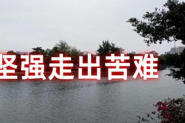 探讨不幸人生背后的命运与选择,如何转变命运轨迹? 探讨不幸人生背后的命运与选择,如何转变命运轨迹?