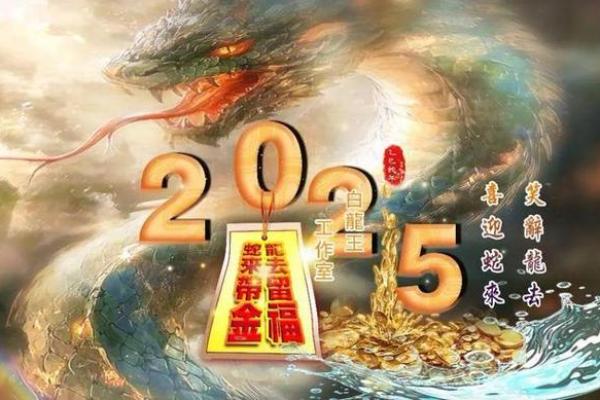 2025年蛇年之后的命理解析与人生指南