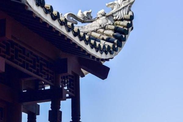 天河水命之人最佳人生选择与发展指南 天河水命之人最佳人生选择与发展指南