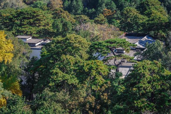 上元甲子庚辰命理解析：探寻命运之柔美与力量的交织