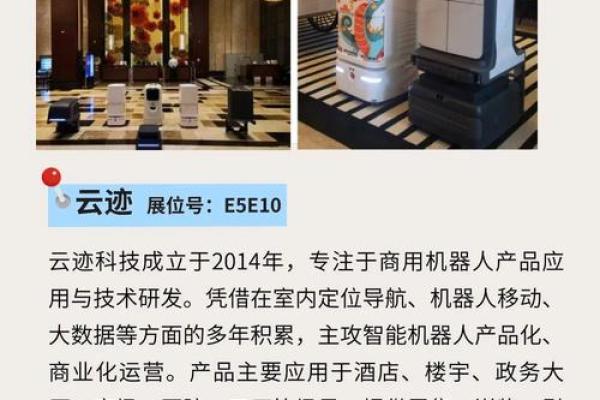 8081年出生的人命运解析：人生的哲学与智慧之旅