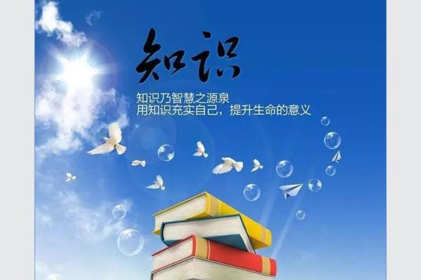 揭秘甲申命主的学历：从历史中看知识的重要性