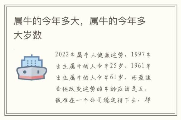 1913年属牛的命理分析与人生启示