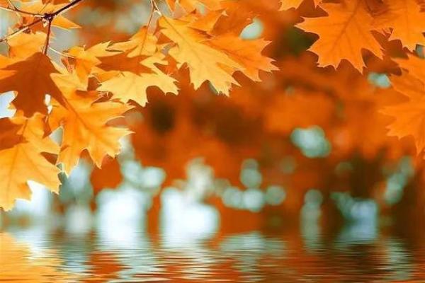 90年冬至出生的人命运揭秘：你的命格与未来如何？