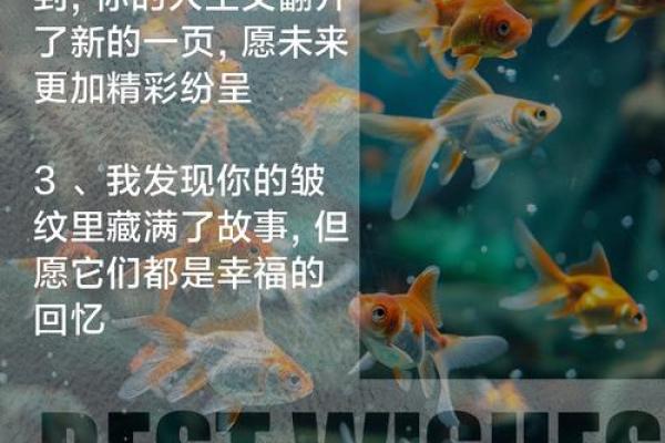 1971年出生的人命运：风华正茂的岁月与人生智慧