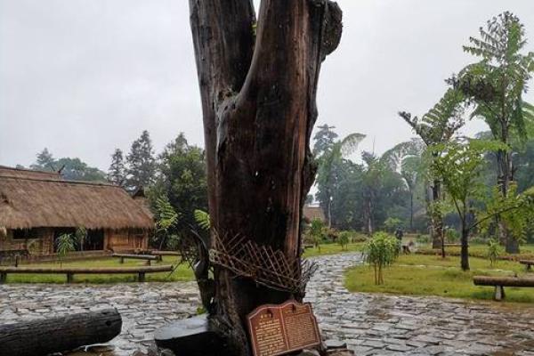 2022年：水命的启示与生活智慧，从生命之源探寻自我价值