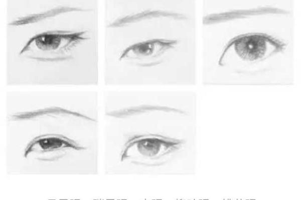 眼睛的形状与命运：你了解吗？