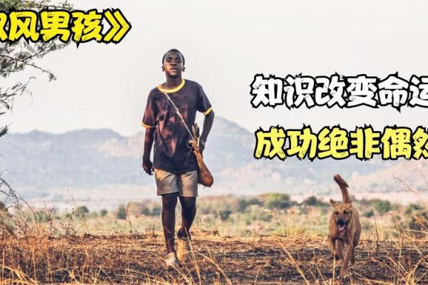 内向男孩的命运：寻找自我与内心的平和之路