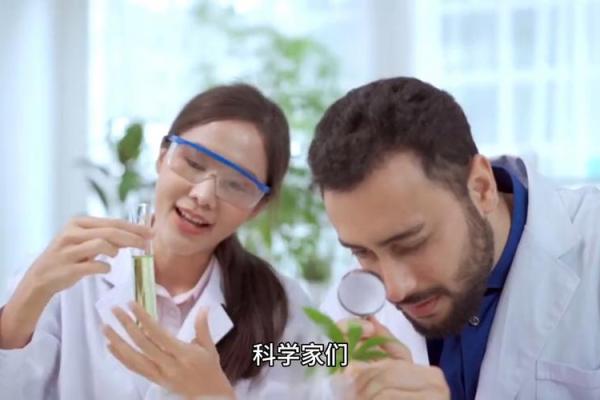 火命妈妈适合什么宝宝？科学解读与温暖之选
