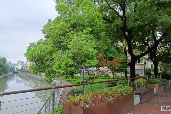 脖子后面肉厚，究竟预示着什么命运？解密你的命理之谜！