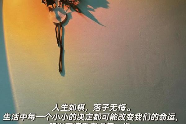 2004年猴年八月，命运的启示与人生哲学