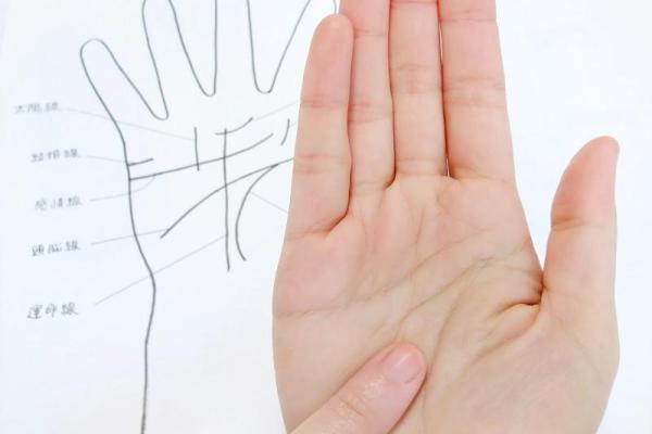 2017年属鸡人的命运与取名技巧：助你一生顺风顺水