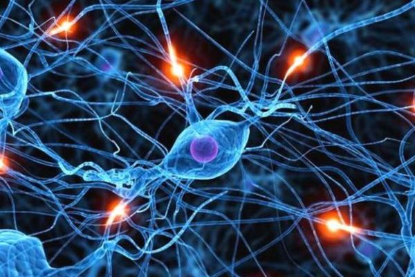 井绳命：深邃的命理智慧与生命的连接之道