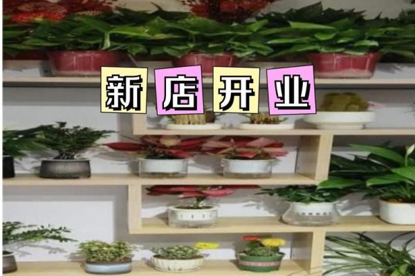 炉中火命适合的店名:温暖的火焰,照亮你的事业之路 炉中火命适合的店名:温暖的火焰,照亮你的事业之路