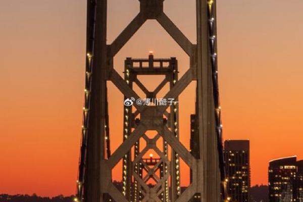 无妻无子女的人生哲学：自由与责任的平衡之旅