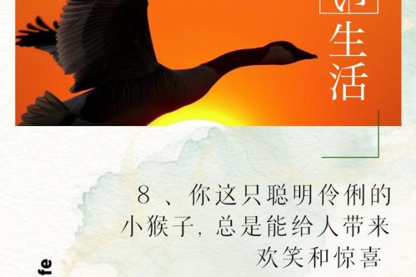 2016属猴命运解析：智慧与灵动的象征与人生机遇